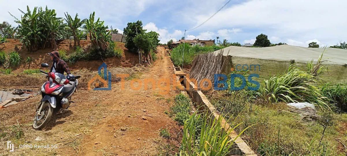 Đất nền Quảng Lập Đơn Dương 1152m² - Pháp lý rõ ràng