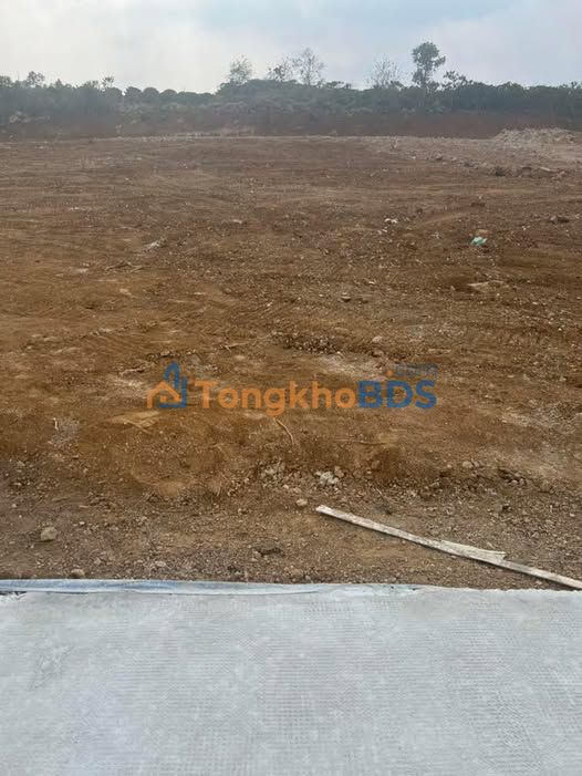 Đất nền Tân Văn Lâm Hà 100m² giá 699 triệu - Đất thổ cư 100%