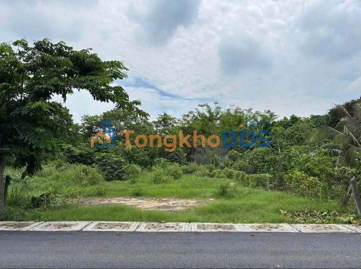 Đất Mặt Tiền Nguyễn Văn Ni, Củ Chi 225m² - Giá Lỗ 900 Triệu