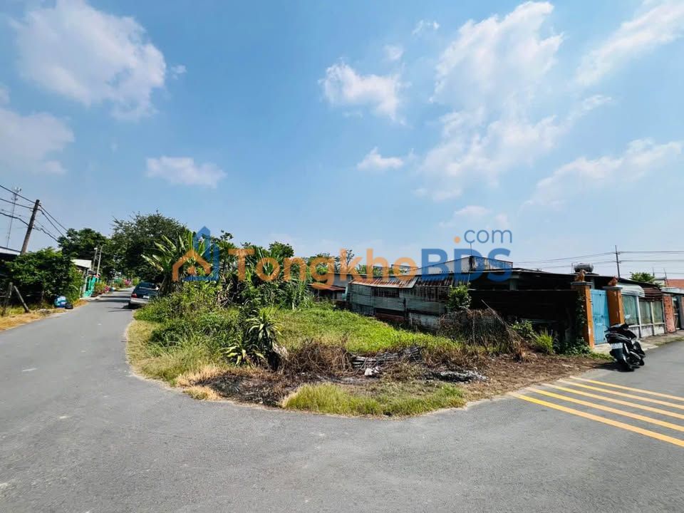 Đất nền Tân Thông Hội Củ Chi 295m² sổ đỏ chính chủ