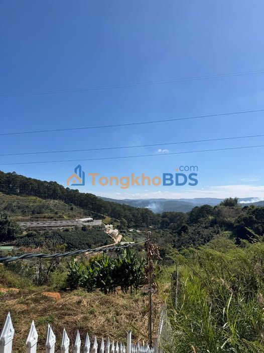 Đất vườn Phường 10 Đà Lạt 541m² giá 3.5 tỷ - View rừng thông cực đẹp