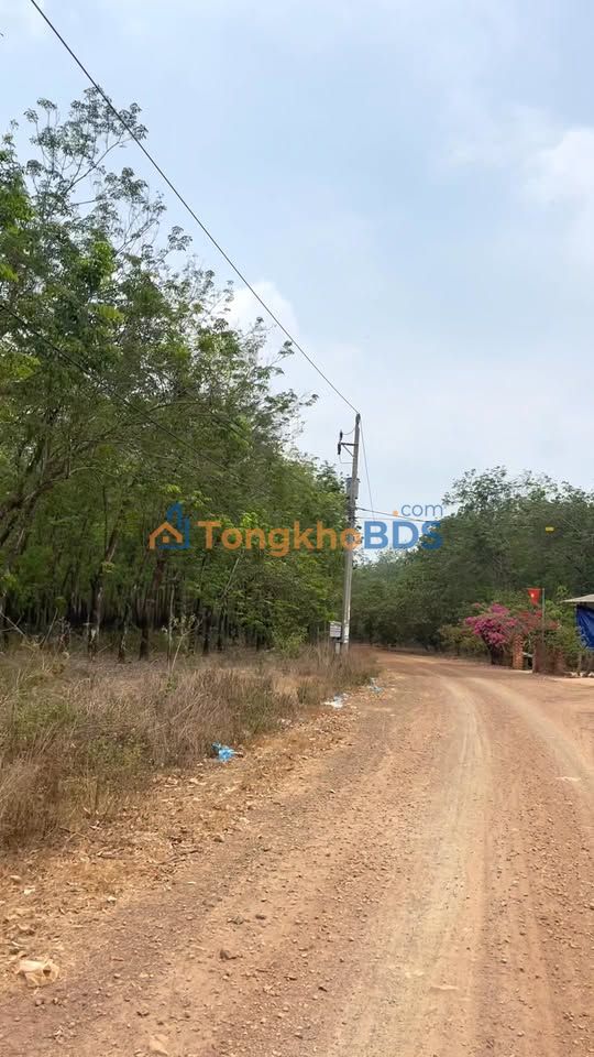 Đất nền Thuận Phú, Đồng Phú 200m² giá 1xx triệu - Sổ đỏ chính chủ