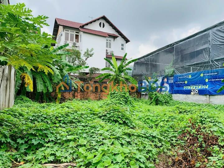 Đất nền Nguyễn Văn Hưởng Thảo Điền 430m² - Sổ đỏ chính chủ