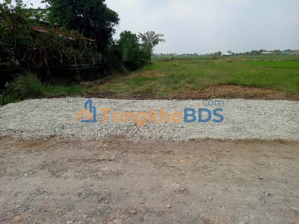 Đất nền Mỹ Hạnh Bắc 500m² giá 2.3 tỷ - Sổ đỏ chính chủ