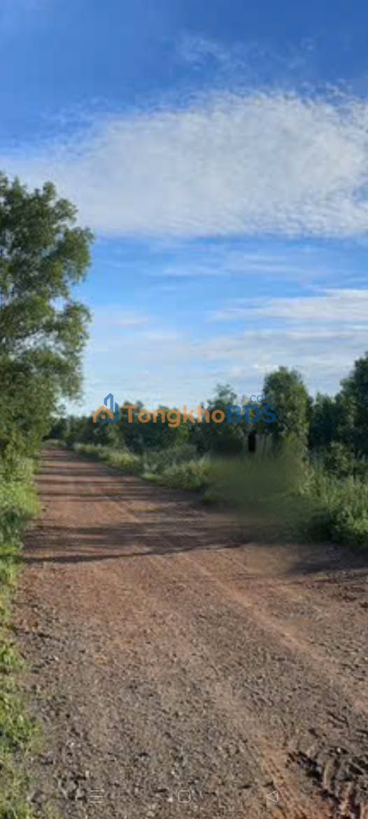 Đất vườn Hàm Đức 36ha giá tốt hiếm có - Đầu tư dài hạn