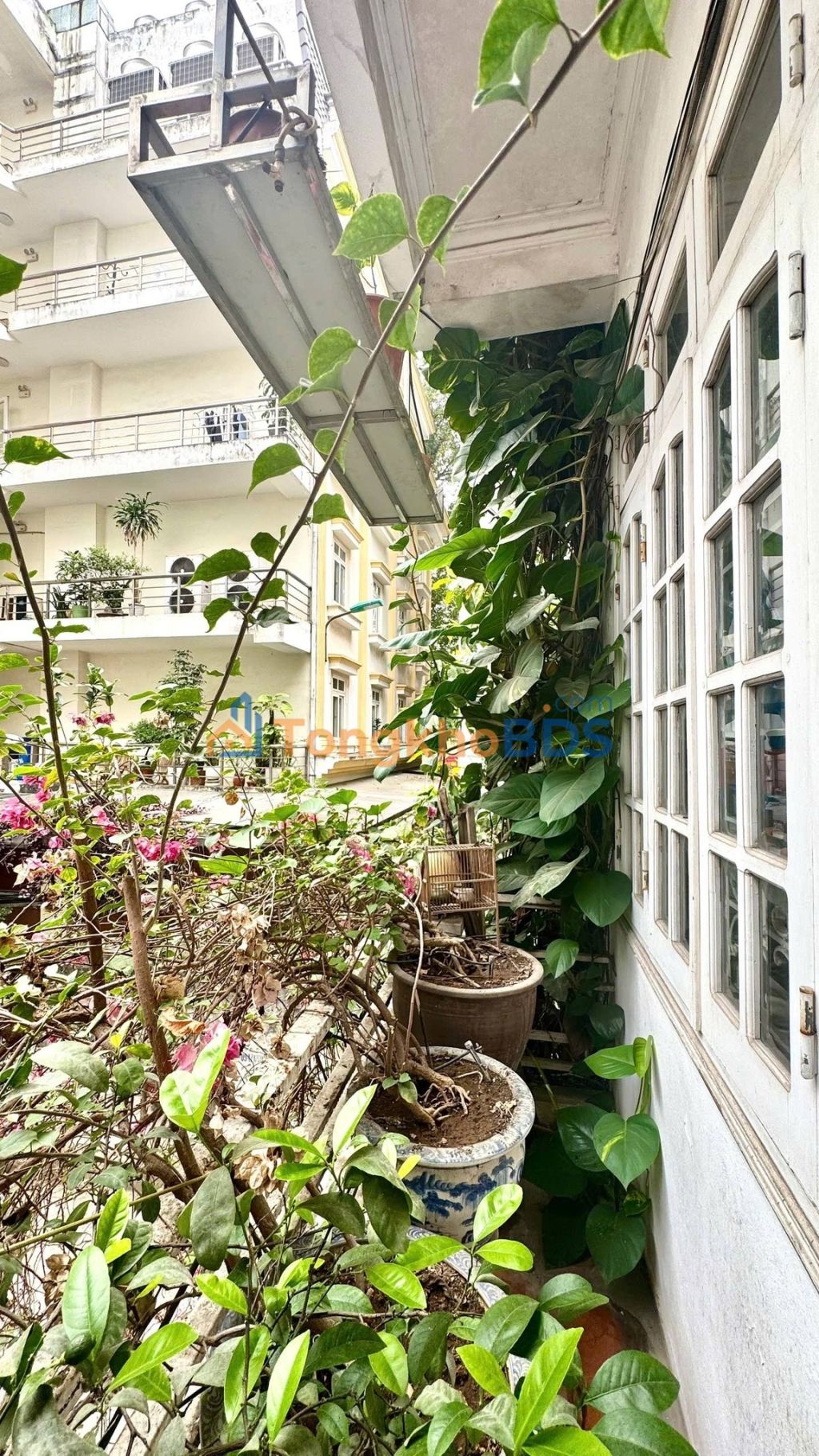 Nhà phố Lý Nam Đế Hoàn Kiếm 55m² 27.5 tỷ - Vị trí đắc địa