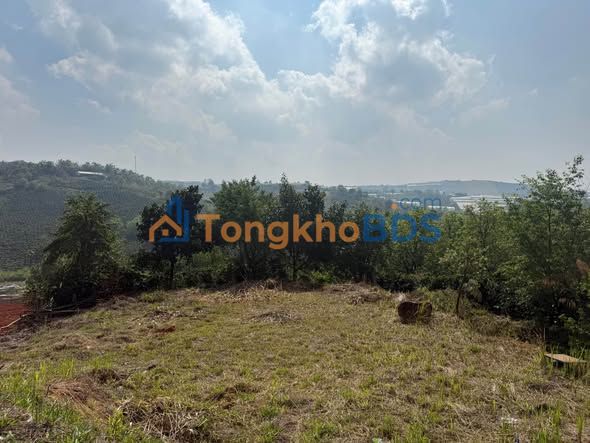 Đất 1000m² Đạ Sar, Lạc Dương 1.8 tỷ - Đường to ô tô