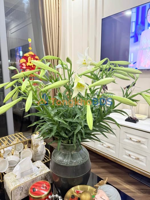 Căn hộ Times City 210m² - Căn góc 3 mặt thoáng, full nội thất cao cấp