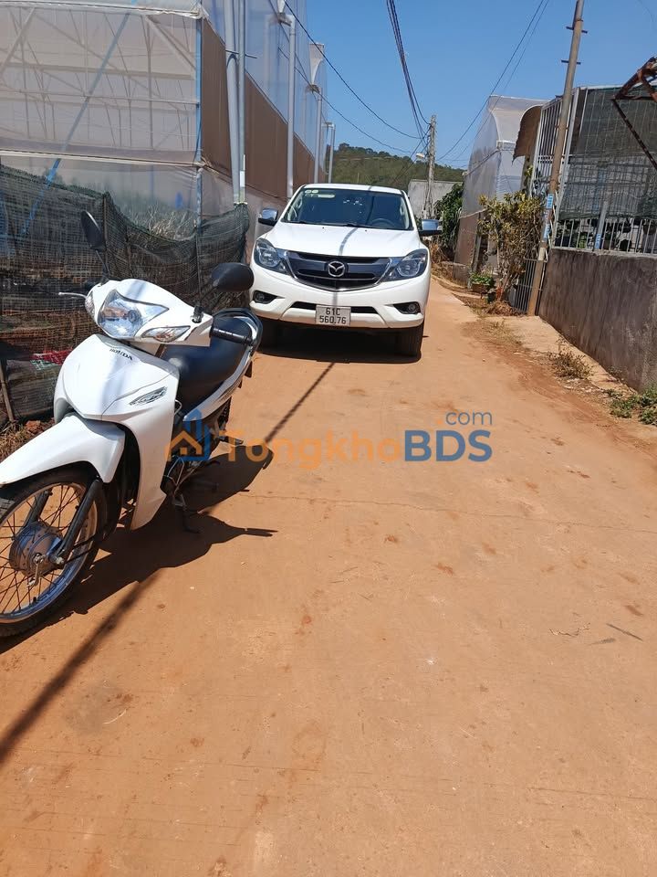 Đất nền Đạ Ròn Đơn Dương 138m² 679 triệu - Đường to ô tô