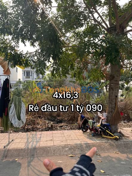 Đất nền Cát Tường Phú Sinh 65m² - Sổ hồng chính chủ