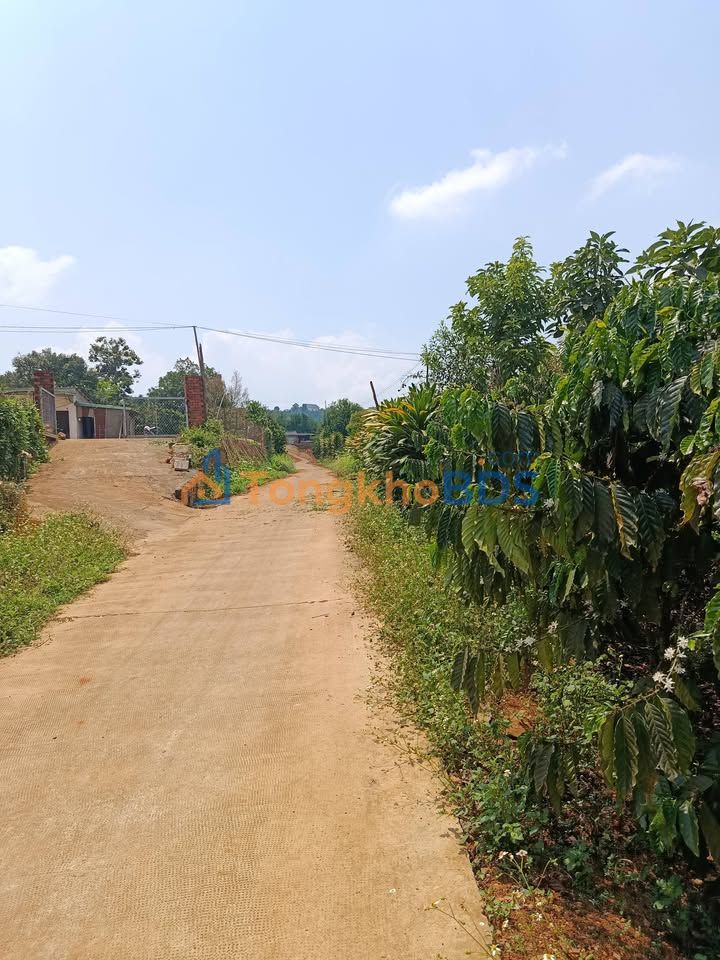 Đất vườn Tân Hà Lâm Hà 2520m² giá 6.3 tỷ - Tiềm năng tăng giá cao!