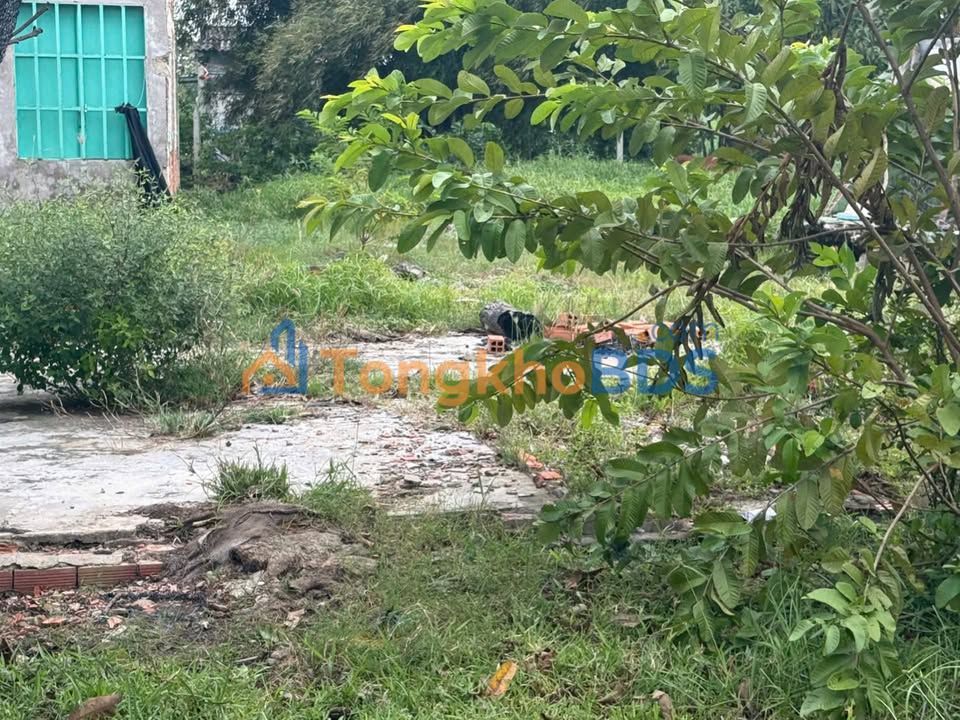 Đất nền Hòa Khánh Đông 170m² giá 880 triệu - Sổ đỏ chính chủ