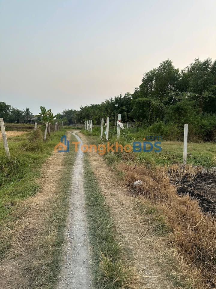 Đất nền Đức Hòa Thượng 150m² giá 800 triệu - Giá F0 CĐT!