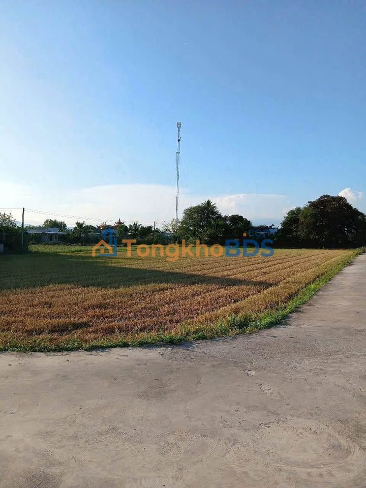 Đất nền Hàm Thắng 1200m² - Đường to ô tô, giá 900 triệu