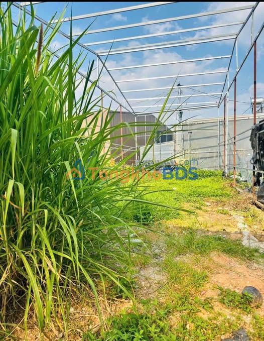 Đất nền Trần Anh Tông Đà Lạt 70m² 890 triệu - Đường ô tô tận nơi