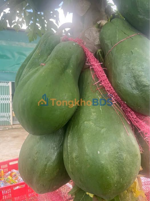 Đất nền Quảng Lập 396m² giá 250 triệu - Sổ đỏ chính chủ