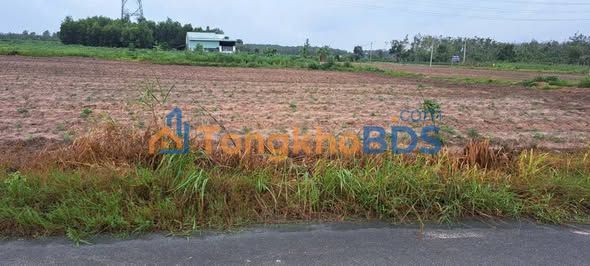 Đất nền Minh Thành 225m2 giá 500 triệu - Tiềm năng tăng giá