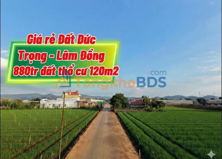 Đất nền Liên Nghĩa, Đức Trọng 75m² giá 880 triệu - Sổ đỏ chính chủ