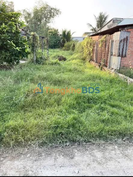 Đất nền Mỹ Hạnh Bắc 350m² sổ đỏ chính chủ giá đầu tư tốt