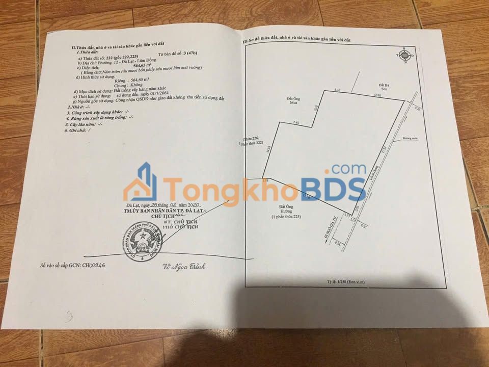 Đất Thái Phiên Đà Lạt 565m² giá 6 tỷ - Sổ đỏ chính chủ, ô tô tận nơi