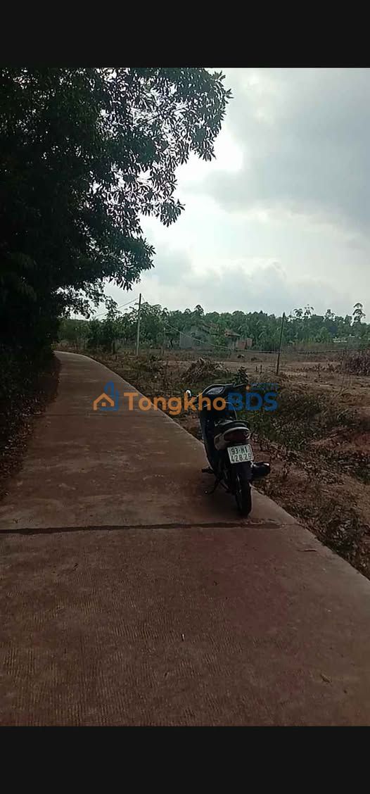 Đất nền Tân Phước, Đồng Phú 225m² giá 275 triệu - Đất thổ cư 100%!