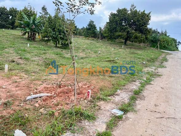 Đất nền Lộc Châu Bảo Lộc 210m² giá 550 triệu - Sổ đỏ chính chủ