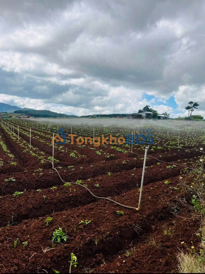 Đất vườn Tu Tra Đơn Dương 2664m² giá 3 tỷ - Nghỉ dưỡng lý tưởng!