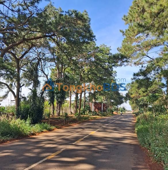 Đất nền Tân Hà, Lâm Hà 500m² giá 2.1 tỷ - Sổ đỏ chính chủ