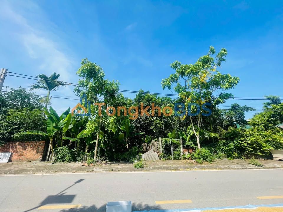 Đất HNK Địch Thượng Phương Đình 1780m² - Tiềm năng tăng giá