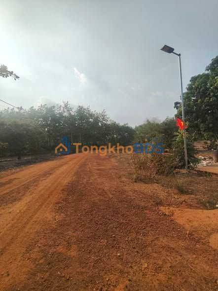 Đất vườn Hớn Quản 1ha giá 1.4 tỷ - Giá đầu tư tốt!