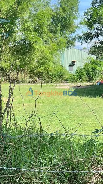 Đất nền TP. Tam Kỳ 105m² giá 600 triệu - Tiềm năng tăng giá cao!