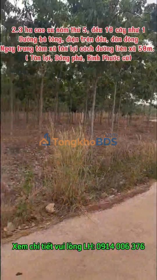 Đất vườn Tân Lợi, Đồng Phú 2.3ha giá 6 tỷ - Đầu tư dài hạn sinh lời cao!