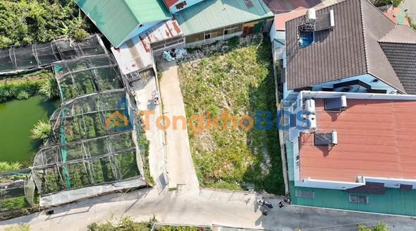 Đất biệt lập Phường 4 Đà Lạt 308m² giá 12 tỷ - Sổ đỏ chính chủ