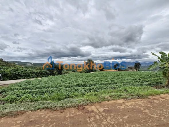 Đất nền Tân Hà Lâm Hà 130m² - Hạ tầng hoàn thiện, sổ đỏ sẵn!