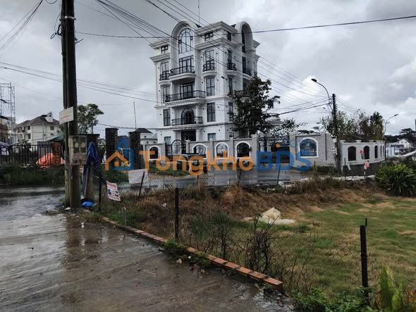 Đất nền Mai Anh Đào Phường 8 100m² 1.2 tỷ - Tiềm năng tăng giá