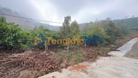 Đất nền Thị trấn Nam Ban 600m² giá 550 triệu - Pháp lý rõ ràng