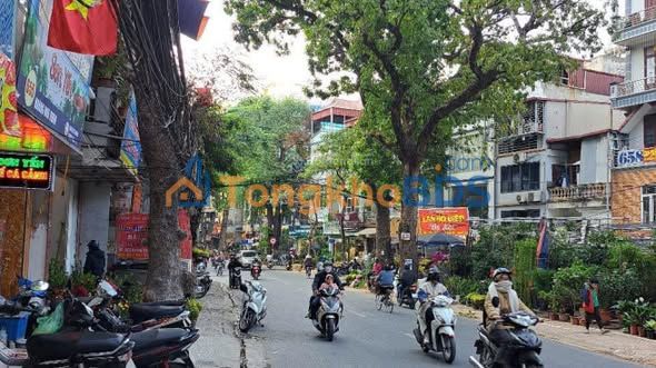 Nhà mặt phố Hoàng Hoa Thám 50m² - Mặt tiền kinh doanh