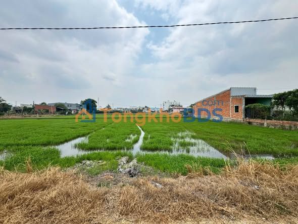 Đất nền Đức Hòa Hạ 754m² giá 2.009 tỷ - Sổ hồng chính chủ