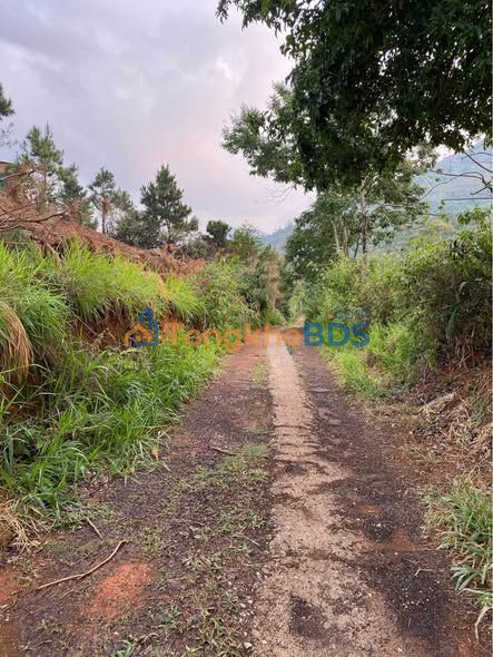 Đất vườn Lộc Thành 6500m² giá 2.1 tỷ - Nghỉ dưỡng lý tưởng