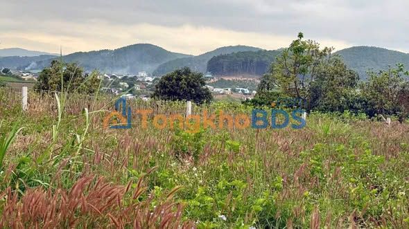 Đất nền Nam Ban Lâm Hà 1000m² view đồi – Tiềm năng tăng giá