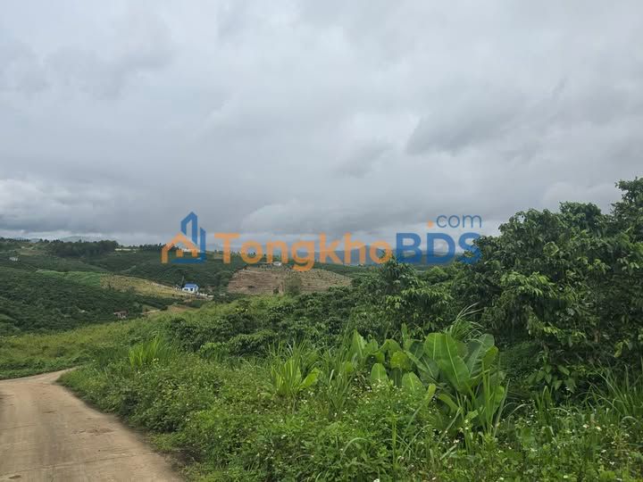 Đất vườn Tân Hà, Lâm Hà 3312m² giá 5.5 tỷ - Tiềm năng tăng giá cao!