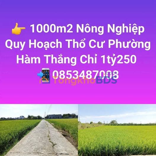 Đất nền Hàm Thắng 1000m² giá 1.25 tỷ - Tiềm năng tăng giá cao!