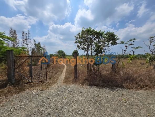 Đất nền Hàm Liêm 8156m² giá 1.5 tỷ - Tiềm năng tăng giá!