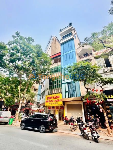 Nhà mặt phố Trần Quý Kiên 38m² - Mặt tiền kinh doanh