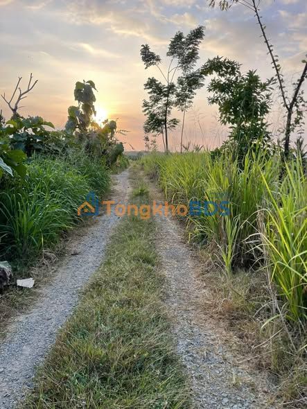 Đất nền Hàm Minh, Hàm Thuận Nam 720m² giá 500 triệu - Sổ đỏ chính chủ