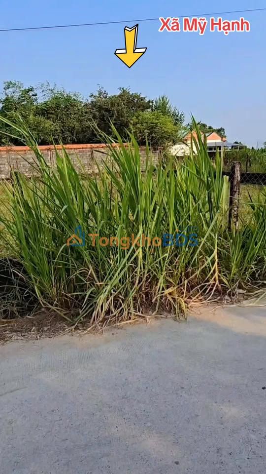 Đất nền Mỹ Hạnh Nam 130m² giá 880 triệu - Sổ hồng chính chủ!