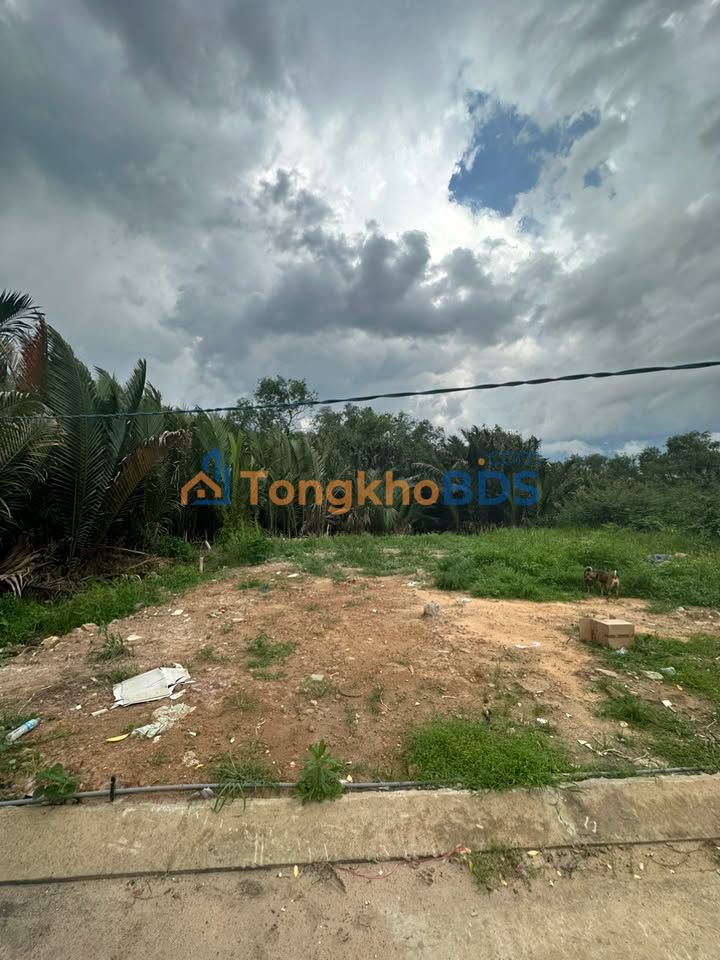 Đất nền Trường Thạnh Q9 446m² 14.6 tỷ - Sổ đỏ chính chủ!