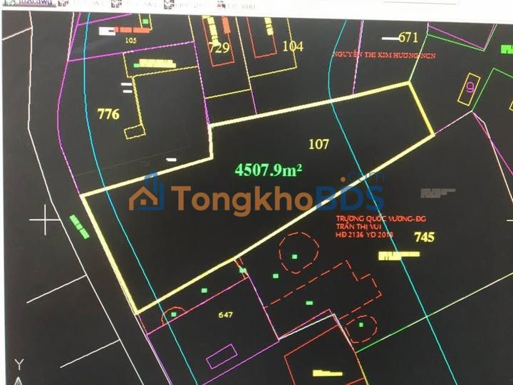 Đất nền Nhuận Đức Củ Chi 6000m² - Tiềm năng tăng giá
