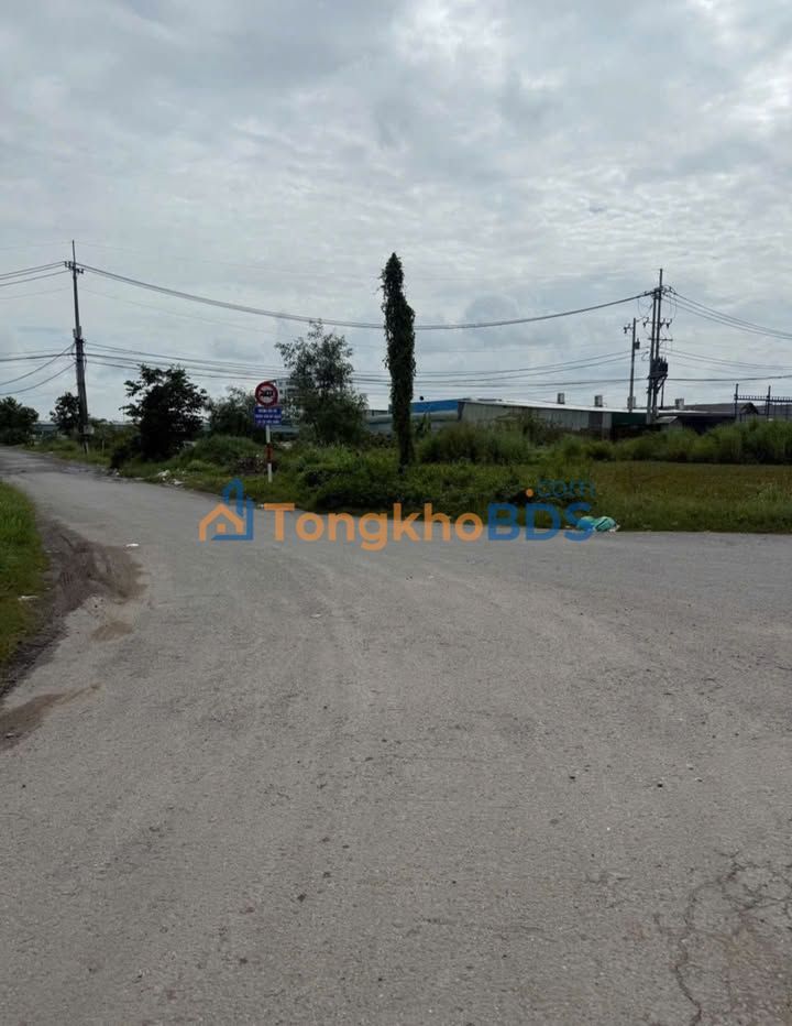 Đất nền Quốc lộ 22 Hóc Môn 16.000m² - Vị trí đắc địa!