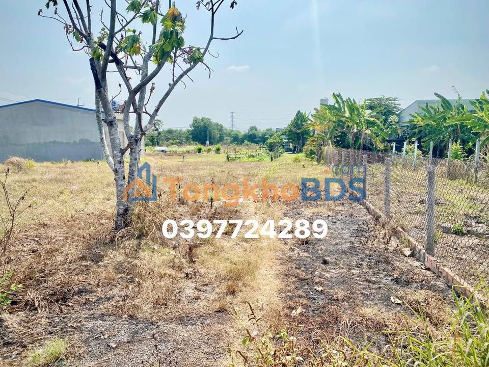 Đất nền Tân An Hội Củ Chi 190m² giá 2 tỷ - Sổ đỏ chính chủ